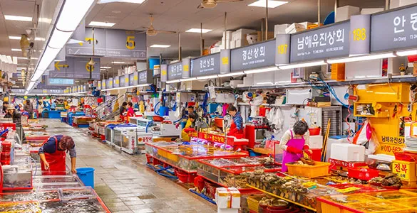 top-busan-excursions-for-temples-markets-beaches-and-culture-mid-content-5